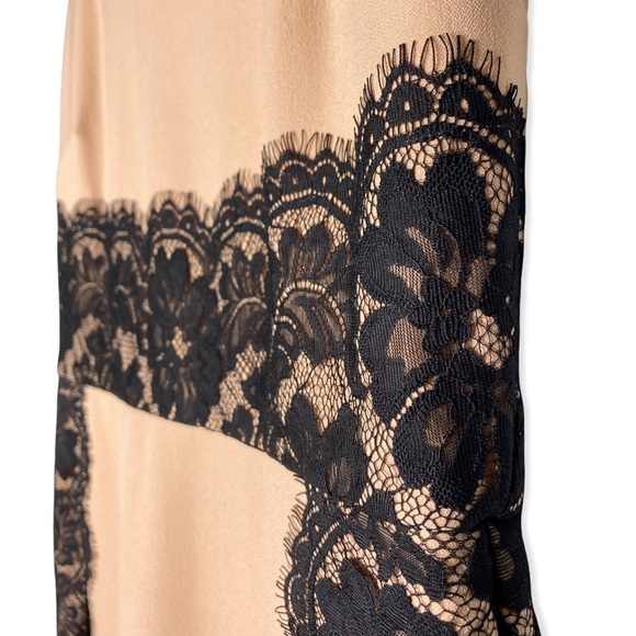 The Limited Blush w/ Black Lace Sleeveless Mid length Dress Women's Size 4 - Picture 4 of 9